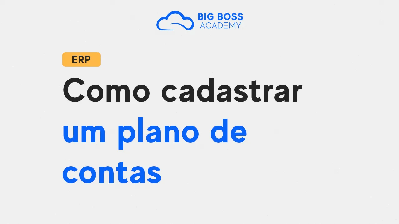Como Cadastrar um Plano de Contas